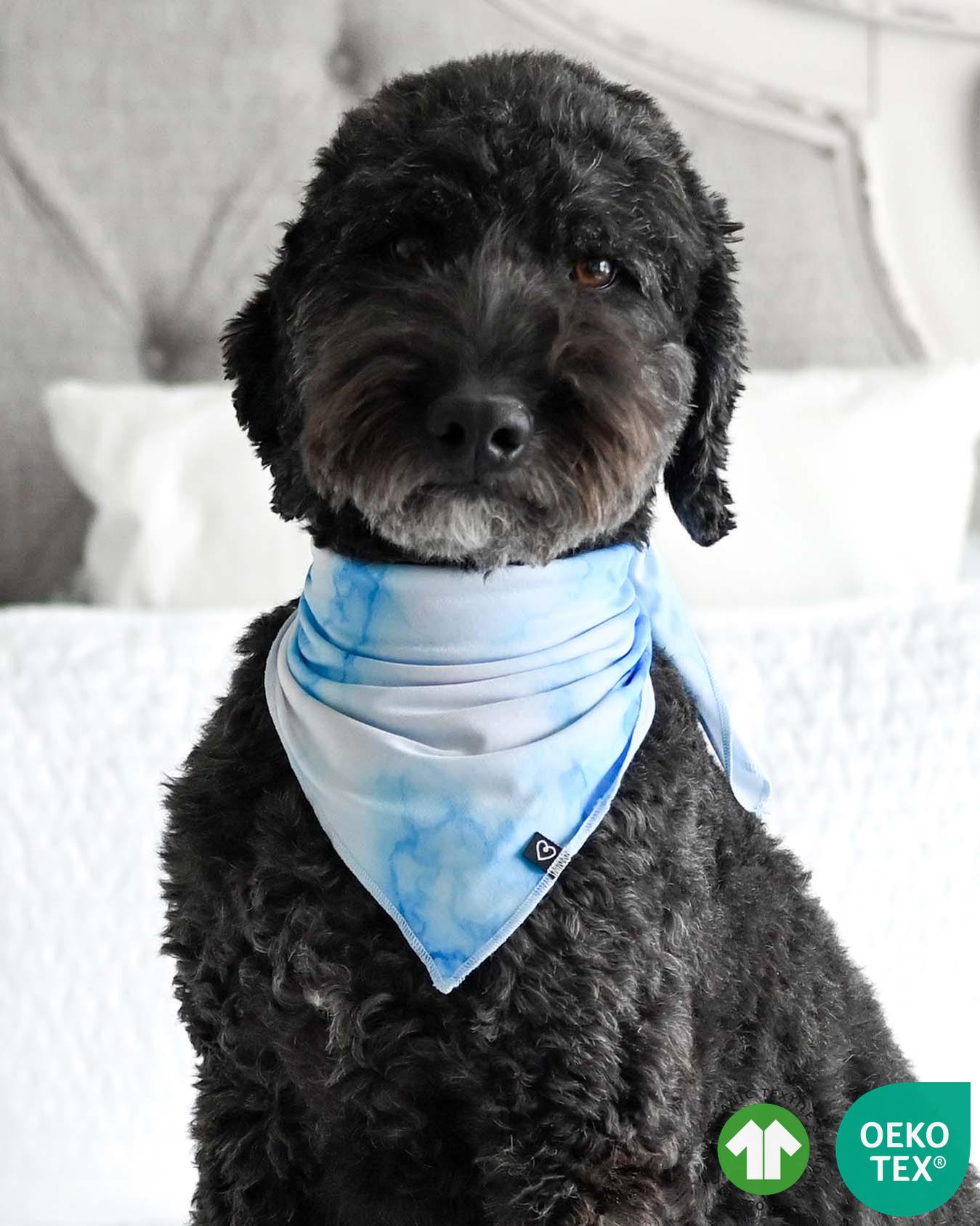 Milo Pet Bandana