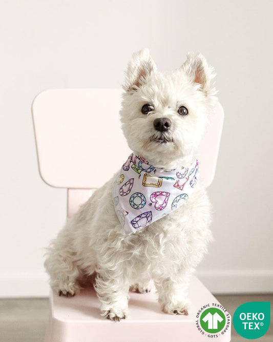 Sustainable Bamboo Rainbow Gems Pet Bandana