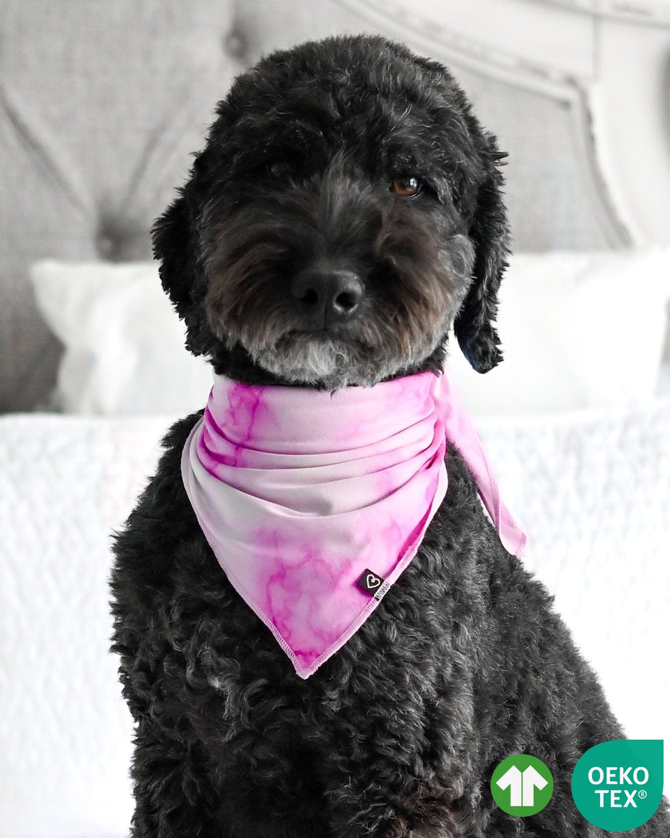 Pet Bandana