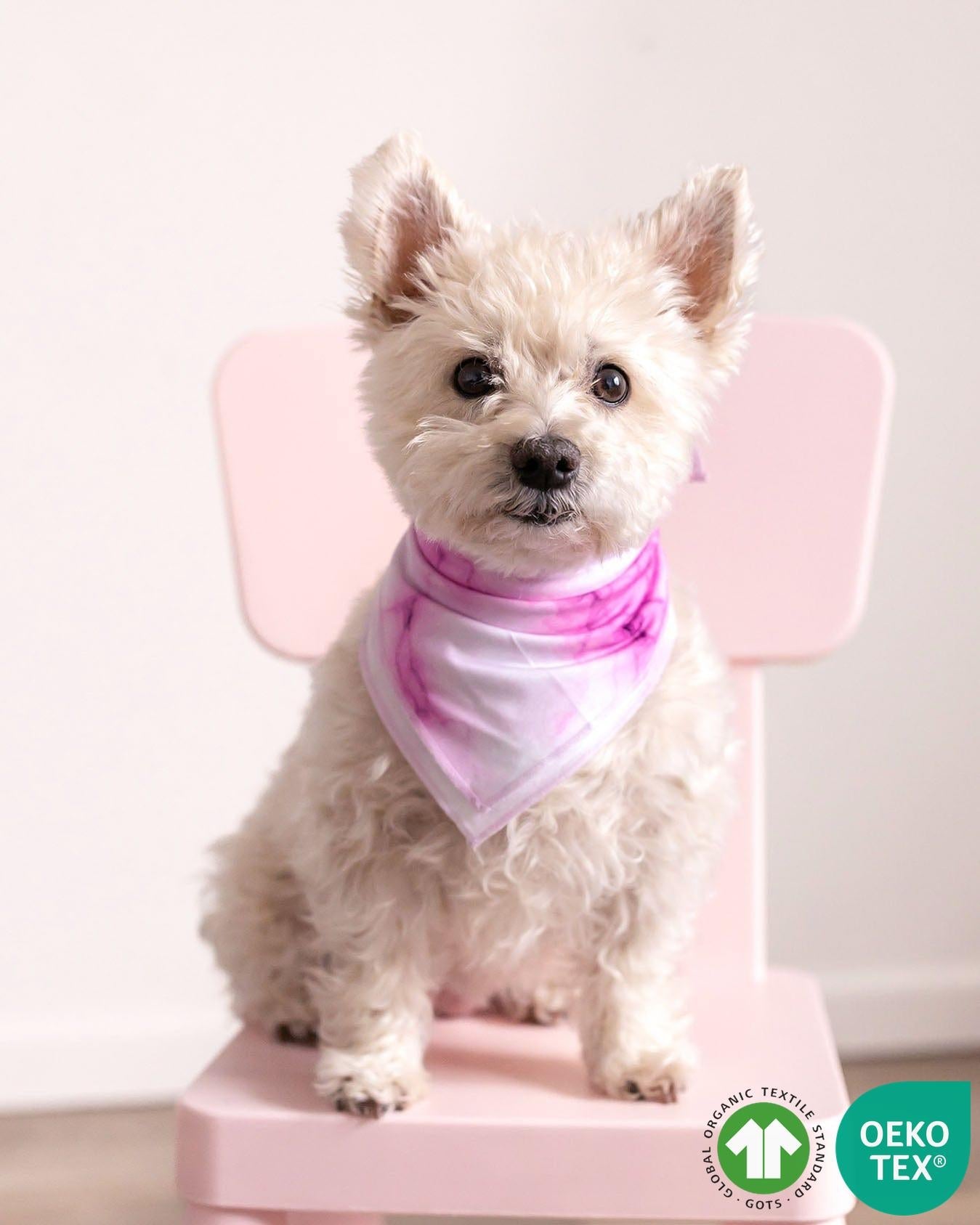 Pet Bandana