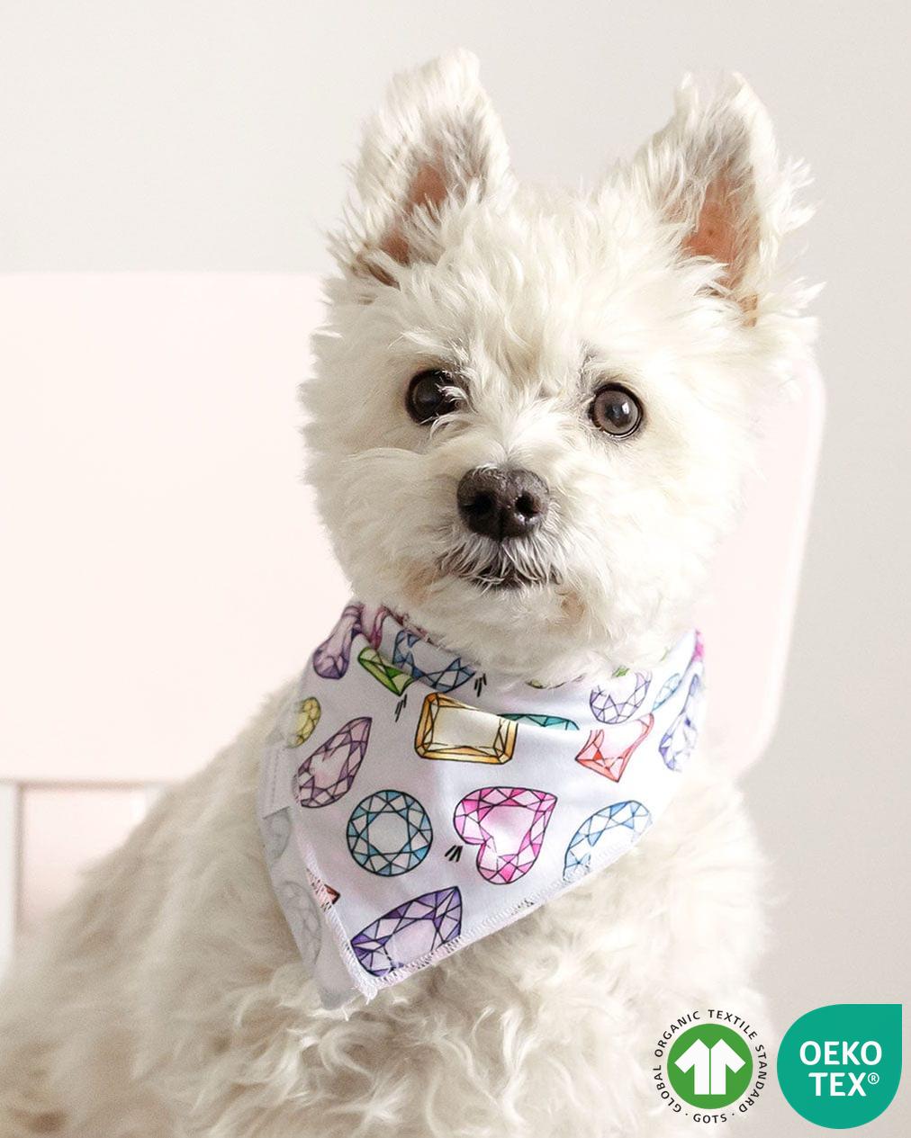 Ruby Pet Bandana