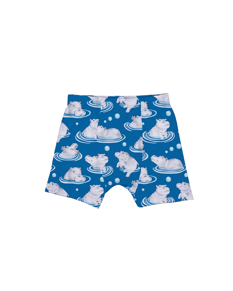 Paul Boy's Briefs Set (Box of 3)