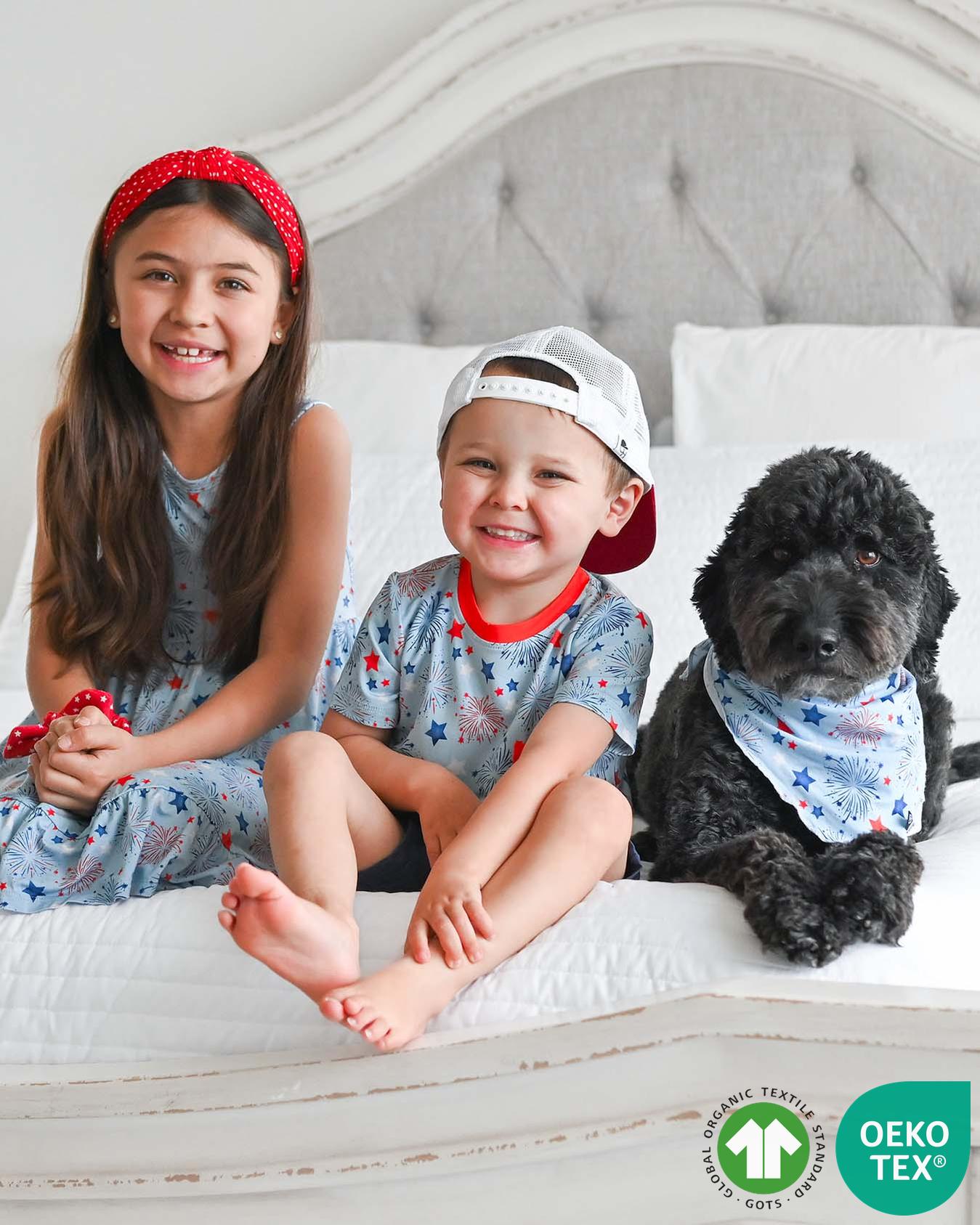 Fireworks Dog Bandana