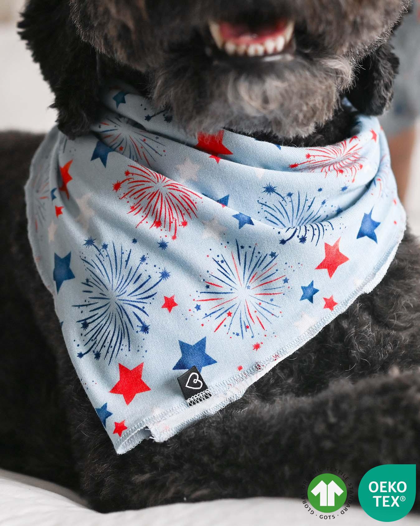 Fireworks Dog Bandana