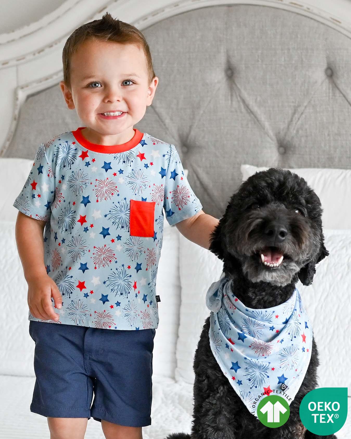Fireworks Dog Bandana