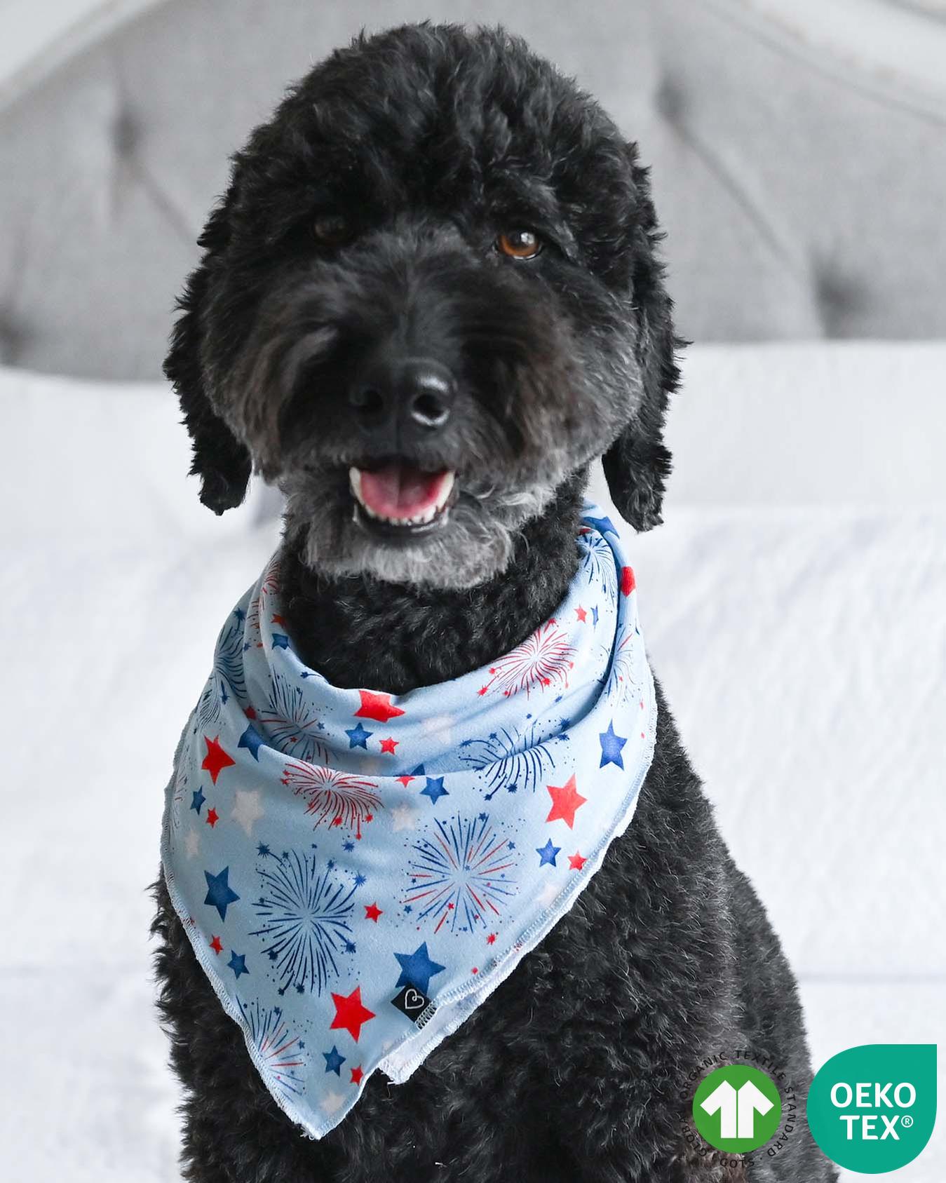 Fireworks Dog Bandana