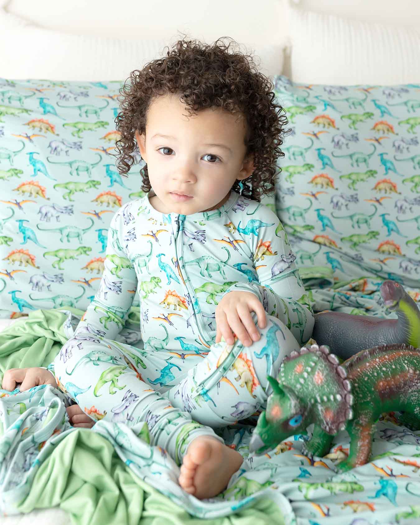 Landon Pillowcases: Set of 2